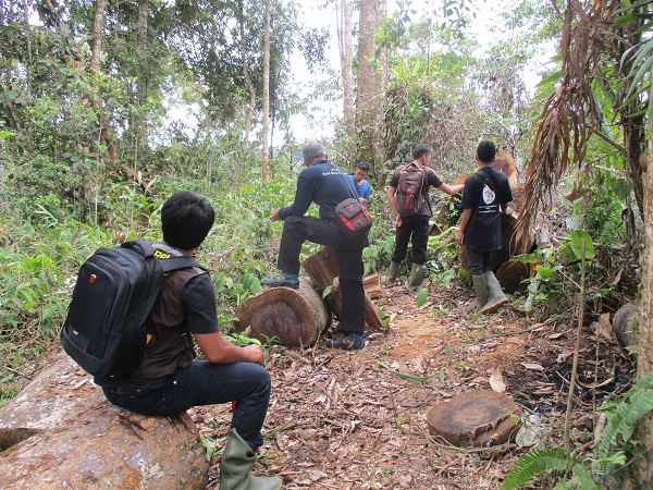 Joint Patrol with Wildlife Authority Agency (BBKSDA) at Dolok Sibual Buali Nature Reserve (June 06, 2020)